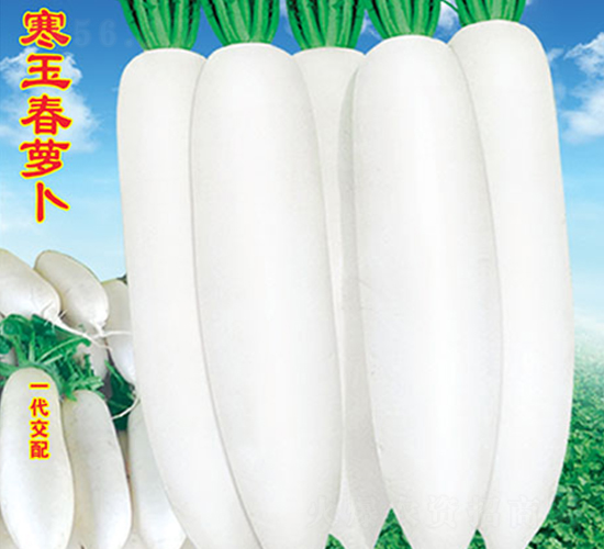 �����}��-�}���N��-�f�r(n��ng)�߿�