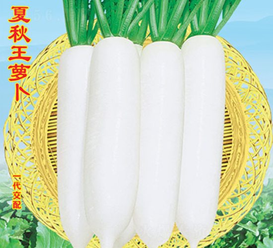 �������}��-�}���N��-�f�r(n��ng)�߿�