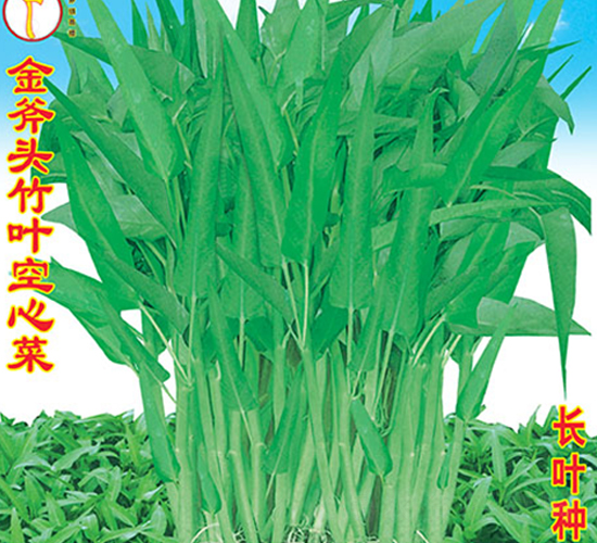 ���^���~���Ĳ�-���Ĳ˷N��-�f�r(n��ng)�߿�