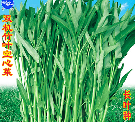 �p�C���~���Ĳ�-���Ĳ˷N��-�f�r�߿�