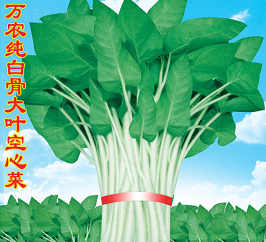 �f�r(n��ng)���׹Ǵ��~���Ĳ�-���Ĳ˷N��-�f�r(n��ng)�߿�