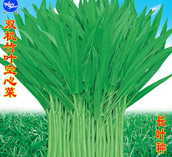 450���p�C���~���Ĳ�-���Ĳ˷N��-�f�r(n��ng)�߿�