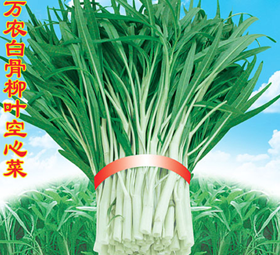 �f(w��n)�r(n��ng)�׹����~���Ĳ�-���Ĳ˷N��-�f(w��n)�r(n��ng)�߿�