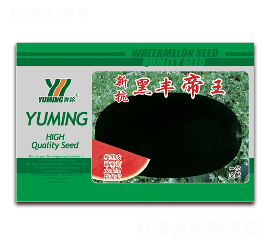 �¿����S����-���ϷN��-����(y��u)�߿�