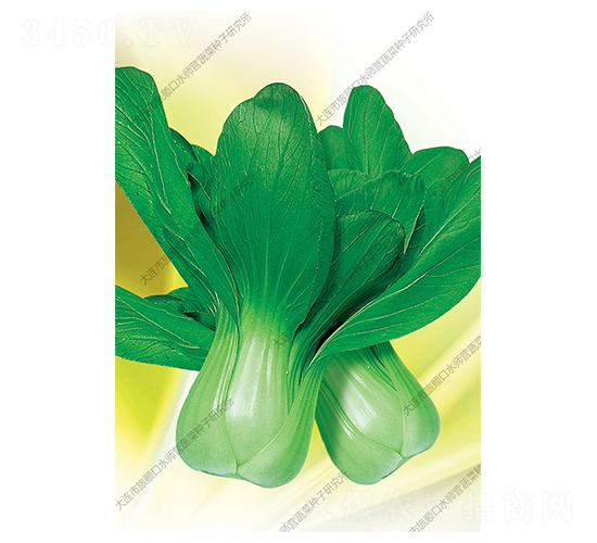 Ʒ���Ͳ�-�Ͳ˷N��-ˮ���I