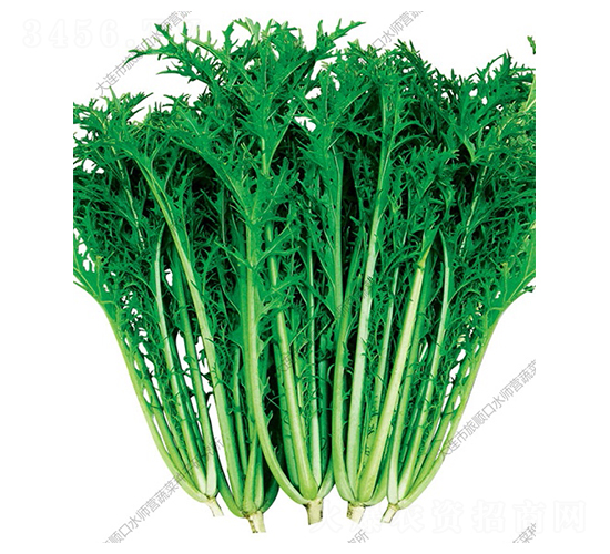 ѩ��ޮ-��˷N��-ˮ���I