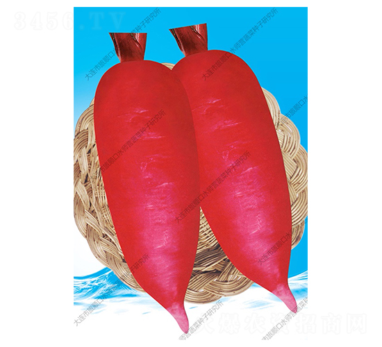 ���}��-�}���N��-ˮ���I