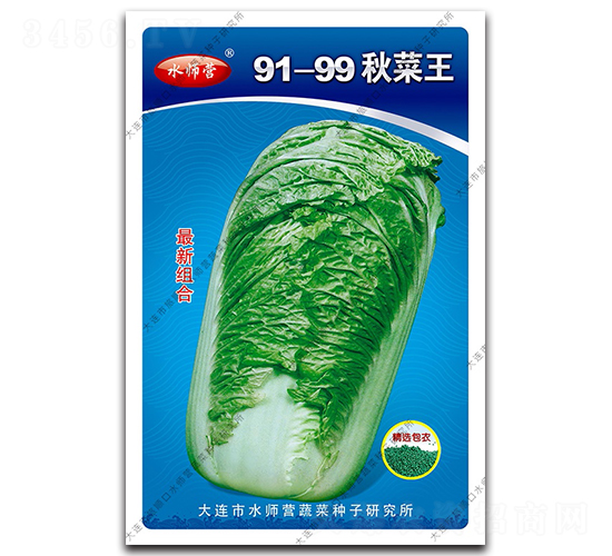 91-99秋菜王-白菜種子-水師營(yíng)