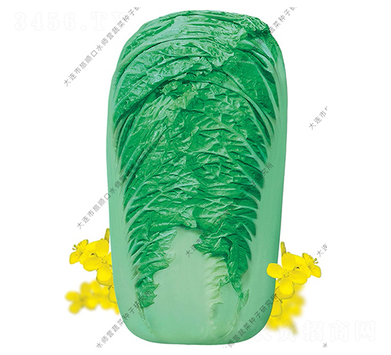 ˮ���I18̖-�ײ˷N��-ˮ���I