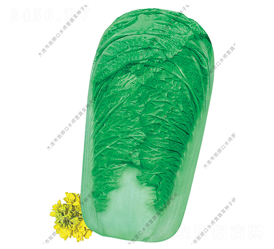 ˮ���I(y��ng)91-19-�ײ˷N��-ˮ���I(y��ng)