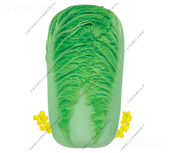 ˮ���I��ζ-�ײ˷N��-ˮ���I