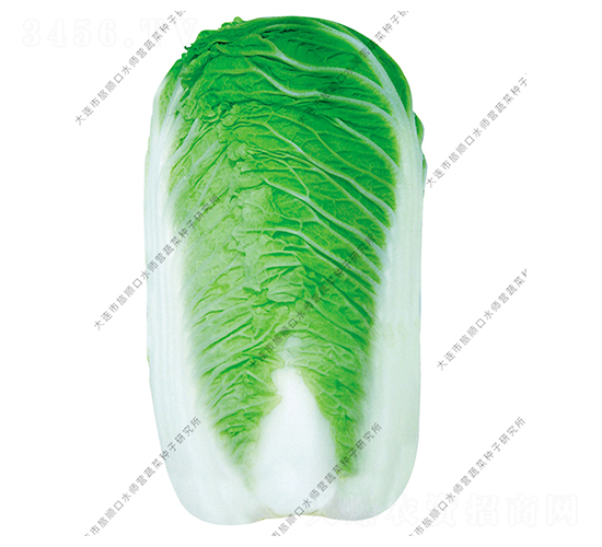 ˮ���I(y��ng)10̖(h��o)-�ײ˷N��-ˮ���I(y��ng)