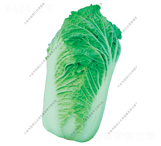 ˮ���I2̖-�ײ˷N��-ˮ���I