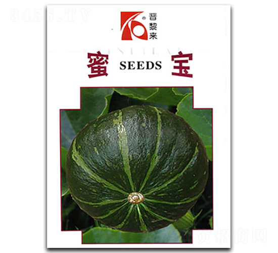 蜜寶-南瓜種子-晉黎來