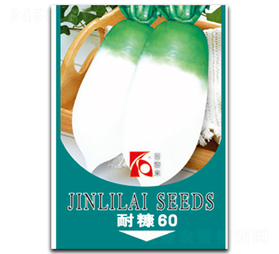 �Ϳ�60-�}���N��-�x���