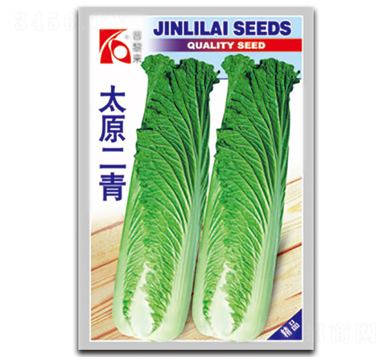太原二青-白菜種子-晉黎來