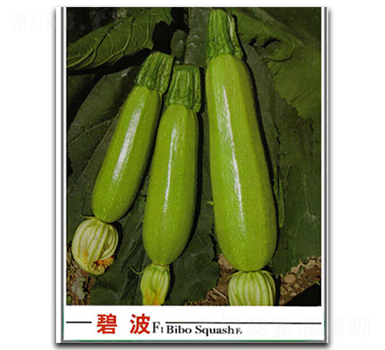 �̲������J-�����J�N��-�x���