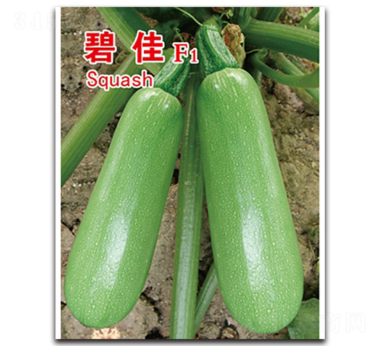 �̼�-�����J�N��-�x���(l��i)