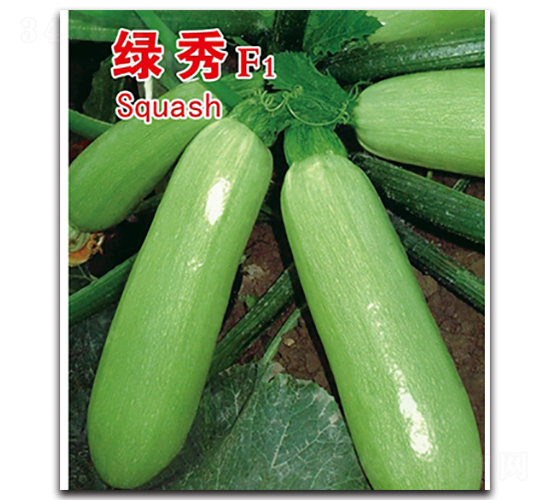 �G��-�����J�N��-�x���