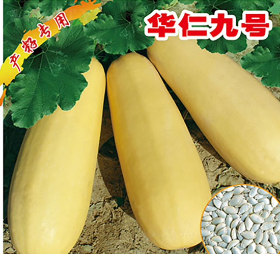 �A�ʾ�̖-�����J�N��-�x���