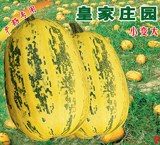 �ʼ��f�@-�����J�N��-�x���(l��i)