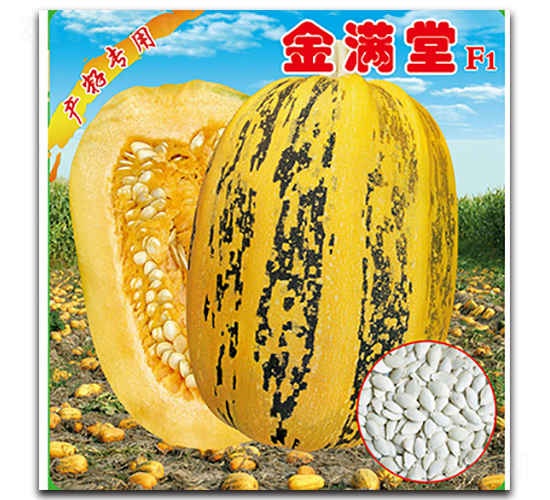 ��M��-�����J�N��-�x���