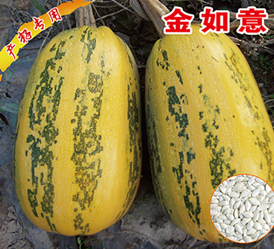 ������-�����J�N��-�x���