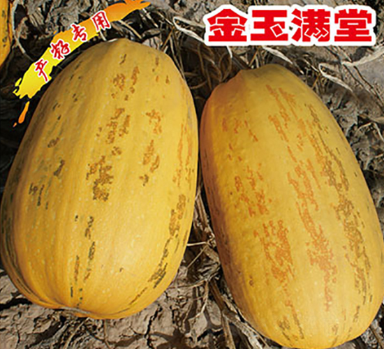 ����M��-�����J�N��-�x���