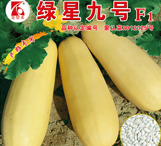 �G�Ǿ�̖(h��o)-�����J�N��-�x���