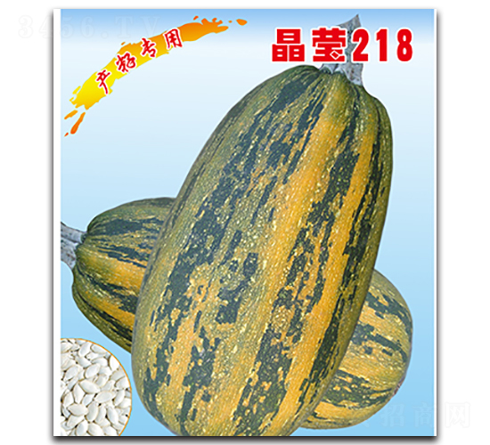 晶瑩218-西葫蘆種子-晉黎來