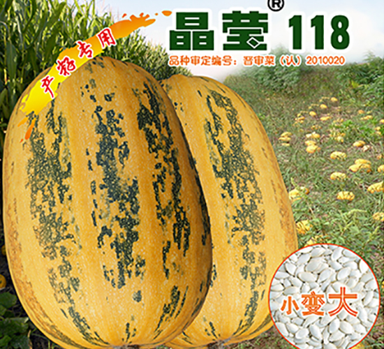 ����118-�����J�N��-�x���