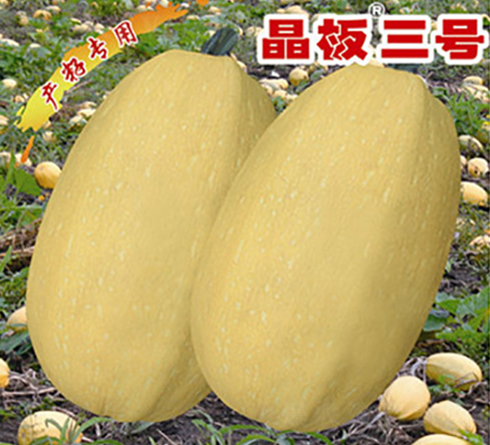 ������̖-�����J�N��-�x���