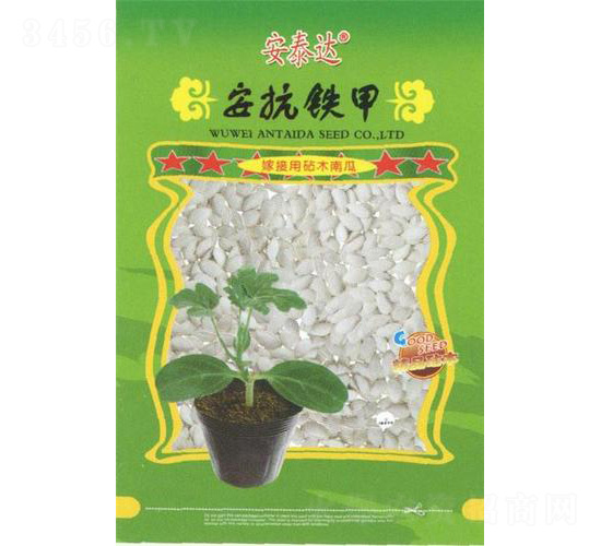 安抗鐵甲-南瓜砧木-安泰達(dá)