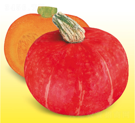 �����Ϲ�-�ϹϷN��-��̩�_