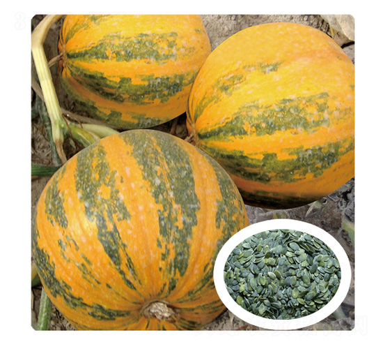 �ι�һ̖-�����J�N��-��̩�_(d��)