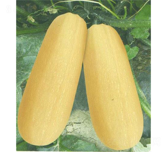 ̩�S��̖(h��o)�����J-�����J�N��-��̩�_(d��)