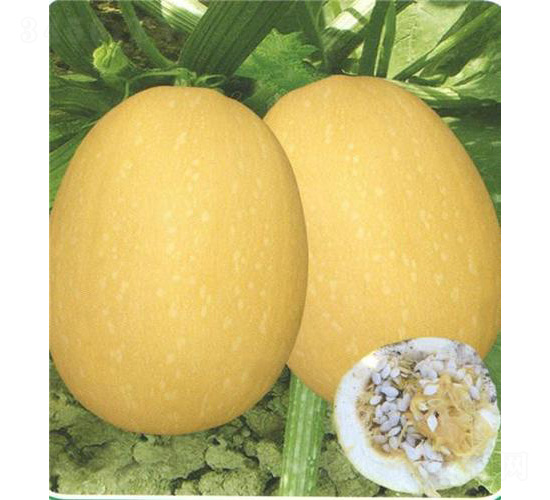 ̩�S��̖(h��o)�����J-�����J�N��-��̩�_(d��)