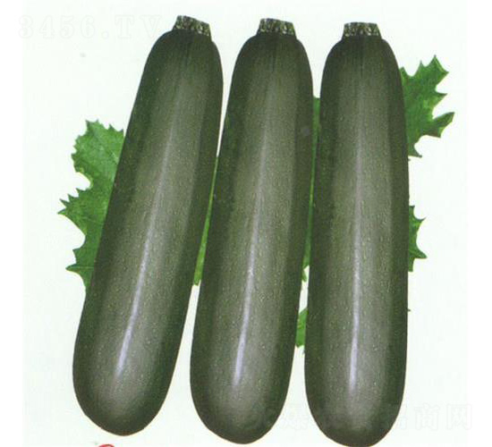 ī�������J-�����J�N��-��̩�_