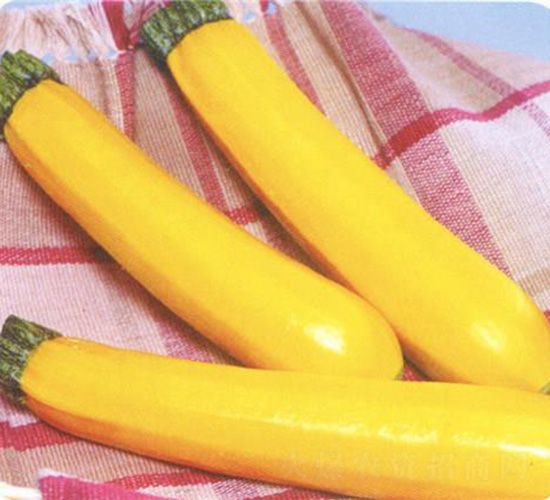 �ʽ�l�����J-�����J�N��-��̩�_