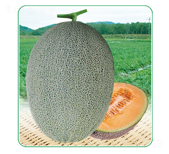 ��̩��25-��ϷN��-��̩�_