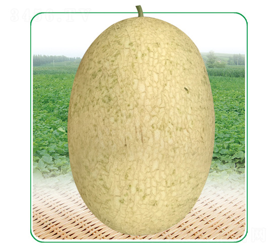 ��̩��4̖-��ϷN��-��̩�_