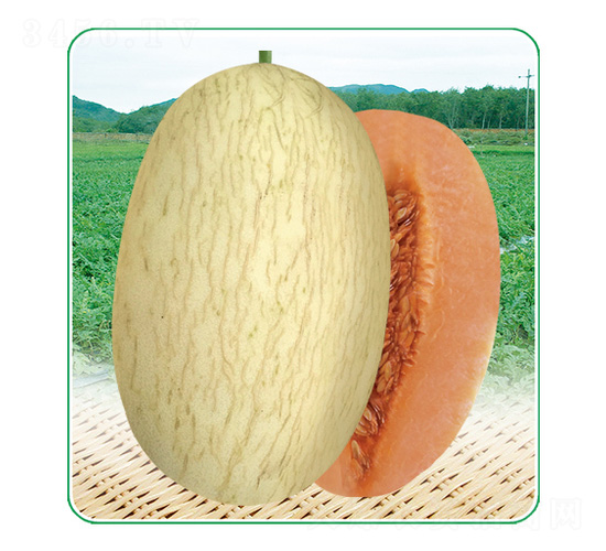 ��̩��3̖-��ϷN��-��̩�_