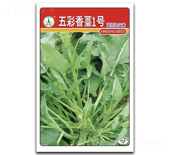 �����̦1̖-��̦�N��-�d�߷N�I(y��)