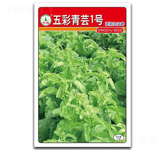 ������|1̖-��̦�N��-�d�߷N�I(y��)