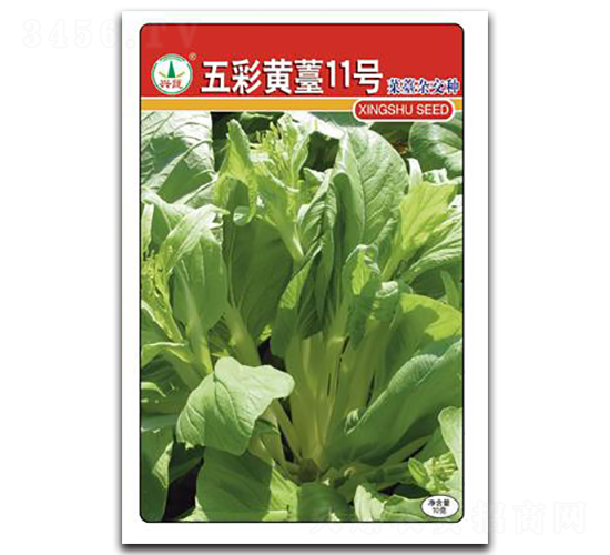 ����S޷11̖-��̦�N��-�d�߷N�I(y��)