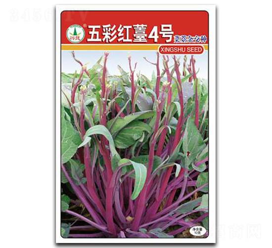 ��ʼt޷��̖(h��o)-��̦�N��-�d�߷N�I(y��)