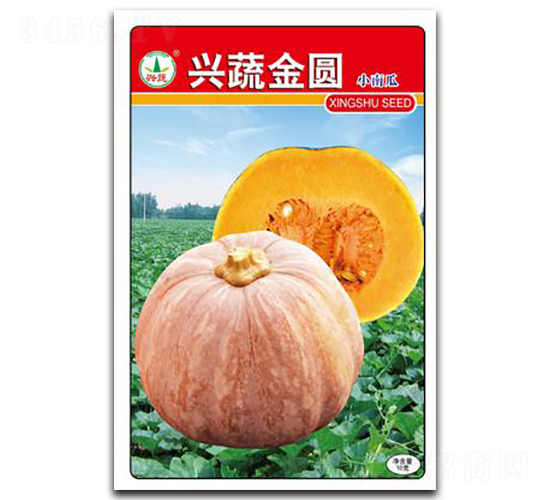 �d�߽��A-�ϹϷN��-�d�߷N�I(y��)