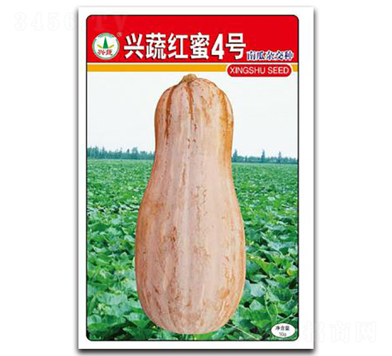 �d�߼t��4̖-�ϹϷN��-�d�߷N�I(y��)