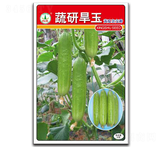 ���к���-�S�ϷN��-�d�߷N�I(y��)