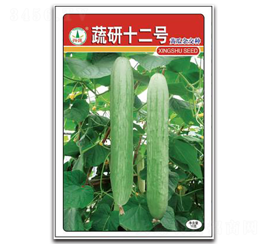 ����12̖-�S�ϷN��-�d�߷N�I(y��)